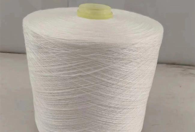 Overview of Poly Spun Yarn