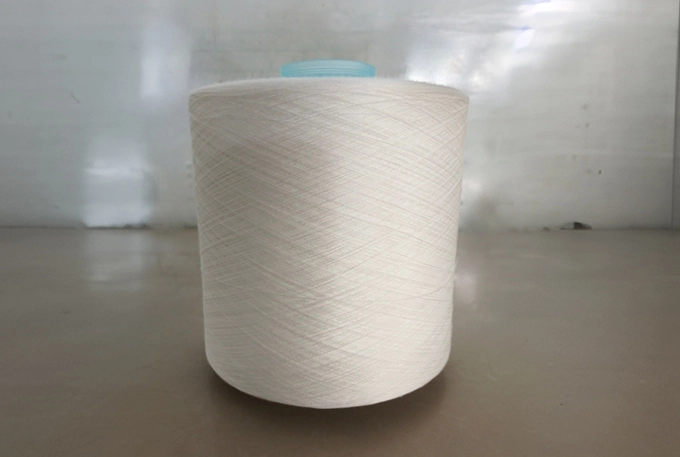 Spun Polyester Thread